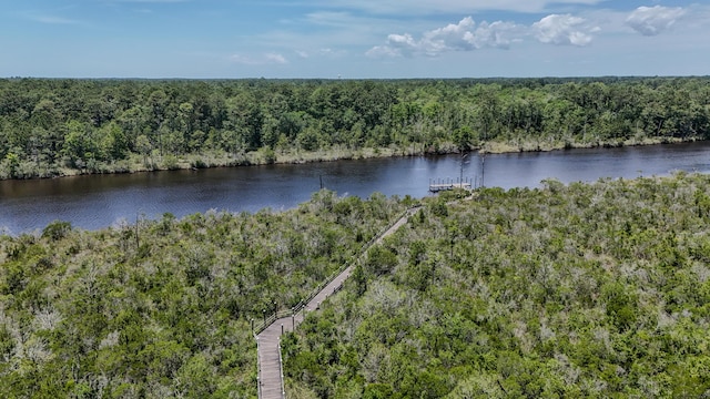 720 Riverwalk Cir, Freeport, FL 32439 - water view with a forest