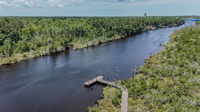 720 Riverwalk Cir, Freeport, FL 32439 - bird's eye view of a large body of water and a heavily wooded area