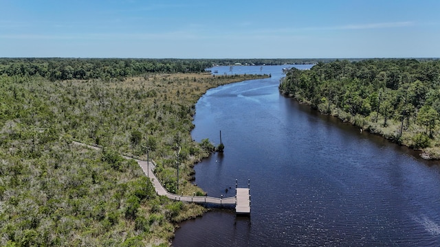 720 Riverwalk Cir, Freeport, FL 32439 - aerial view of a large body of water and a heavily wooded area