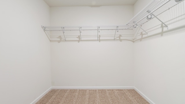 720 Riverwalk Cir, Freeport, FL 32439 - walk in closet with carpet flooring