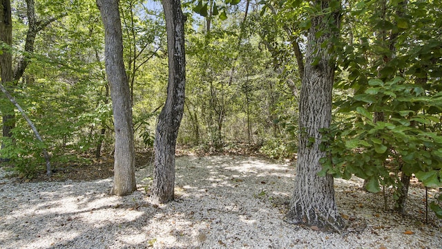 1000 Bay Dr Unit 525, Niceville, FL 32578 - photo 40