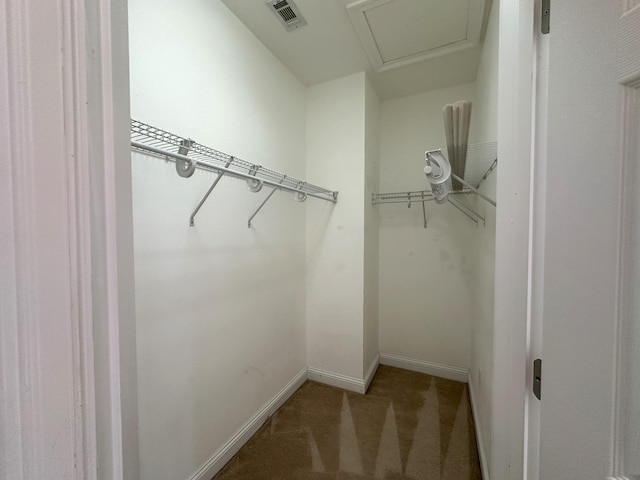 413 Nathey Ave Unit 10, Niceville, FL 32578 - walk in closet featuring carpet flooring