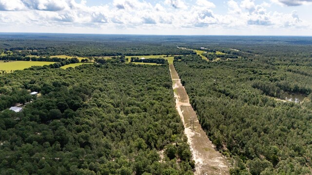 0 Homestead Rd, Baker, FL 32531 - photo 7
