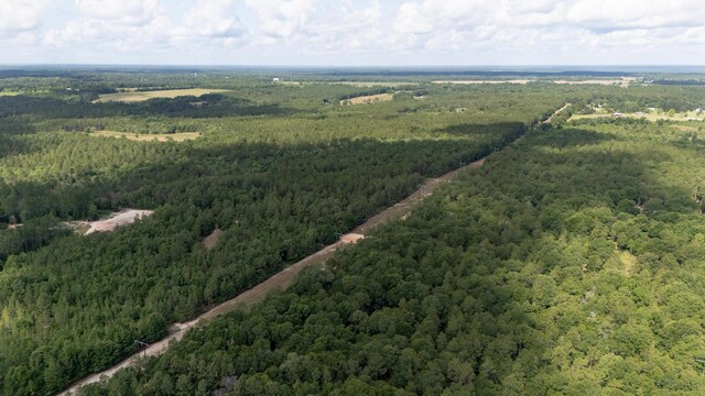 0 Homestead Rd, Baker, FL 32531 - photo 10