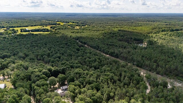 0 Homestead Rd, Baker, FL 32531 - photo 11
