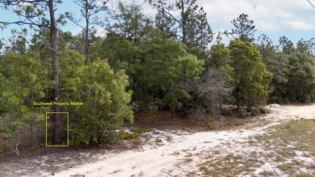 0 Homestead Rd, Baker, FL 32531 - photo 13
