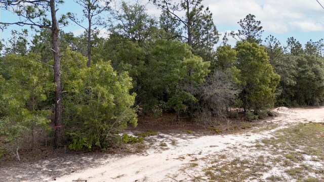 0 Homestead Rd, Baker, FL 32531 - photo 14