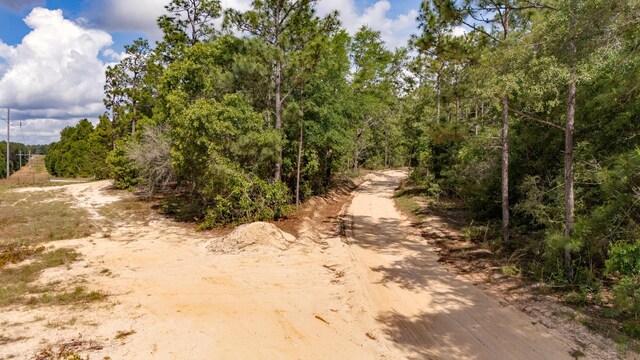0 Homestead Rd, Baker, FL 32531 - photo 15