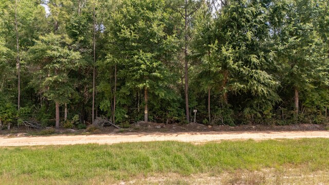 0 Homestead Rd, Baker, FL 32531 - photo 18