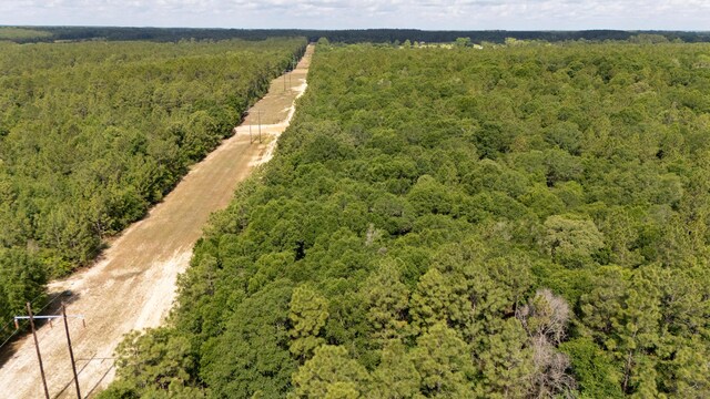 0 Homestead Rd, Baker, FL 32531 - photo 21