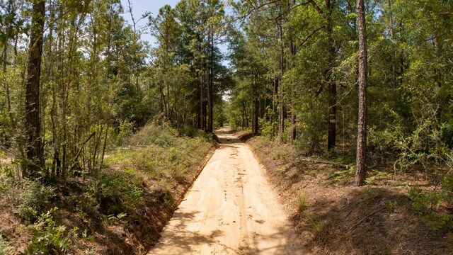 0 Homestead Rd, Baker, FL 32531 - photo 23