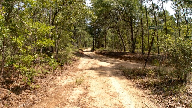 0 Homestead Rd, Baker, FL 32531 - photo 24