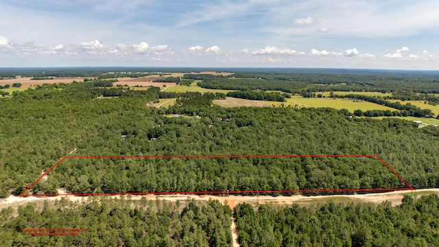 0 Homestead Rd, Baker, FL 32531 - photo 1