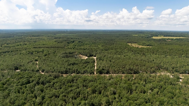 0 Homestead Rd, Baker, FL 32531 - photo 2