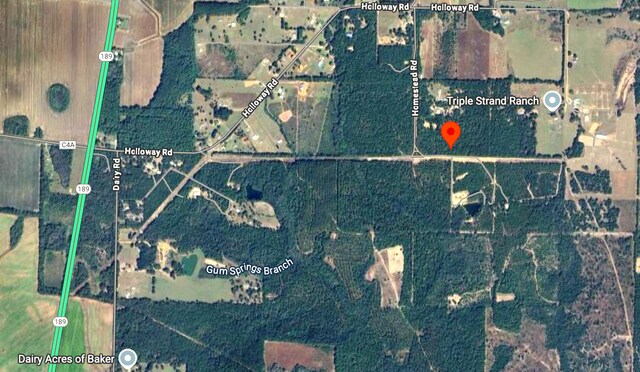 0 Homestead Rd, Baker, FL 32531 - photo 3