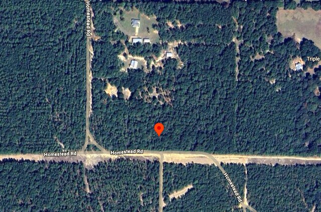 0 Homestead Rd, Baker, FL 32531 - photo 27