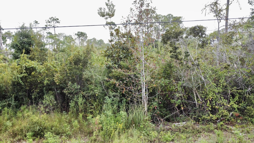 LOT38 W Casa Grande, Santa Rosa Beach, FL 32459