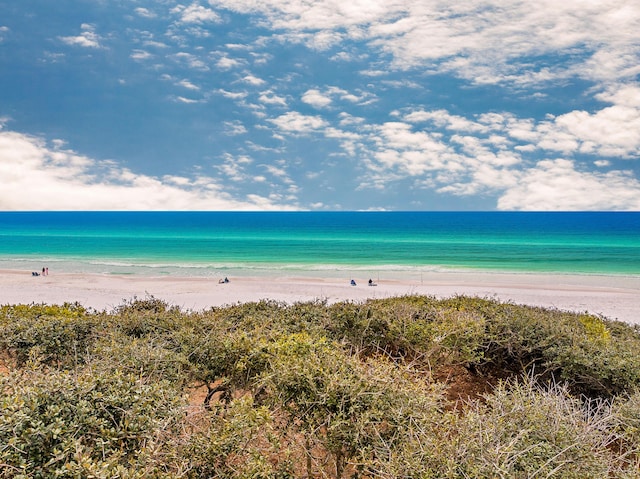 40 Jasmine Cir, Santa Rosa Beach, FL 32459 - water view with local beach