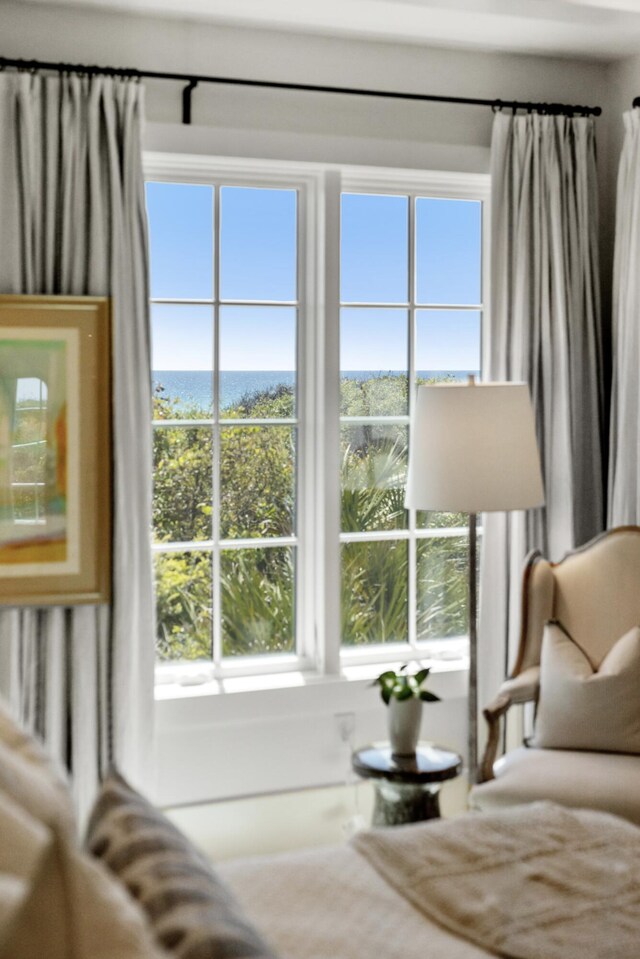 30 Atwoods Ct, Rosemary Beach, FL 32461 - photo 18