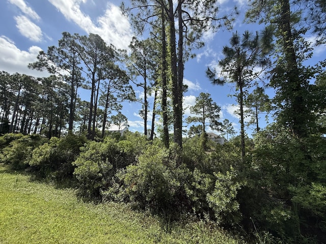 111 Pluto Way, Cape San Blas, FL 32456