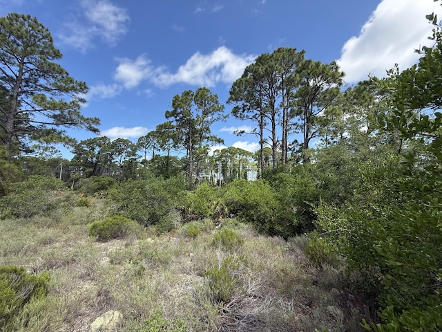 111 Pluto Way, Cape San Blas, FL 32456