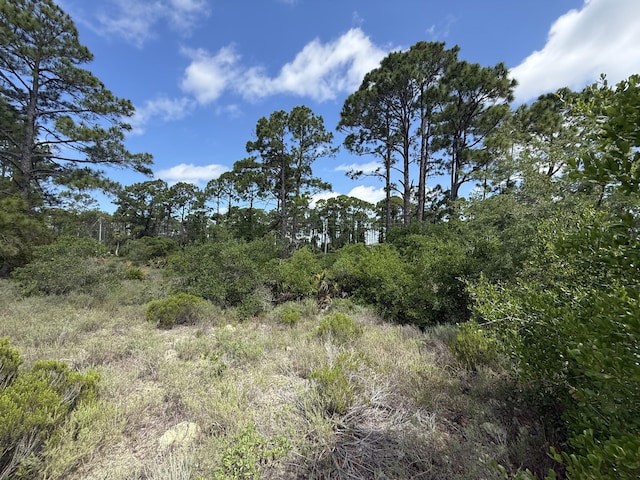 111 Pluto Way, Cape San Blas, FL 32456