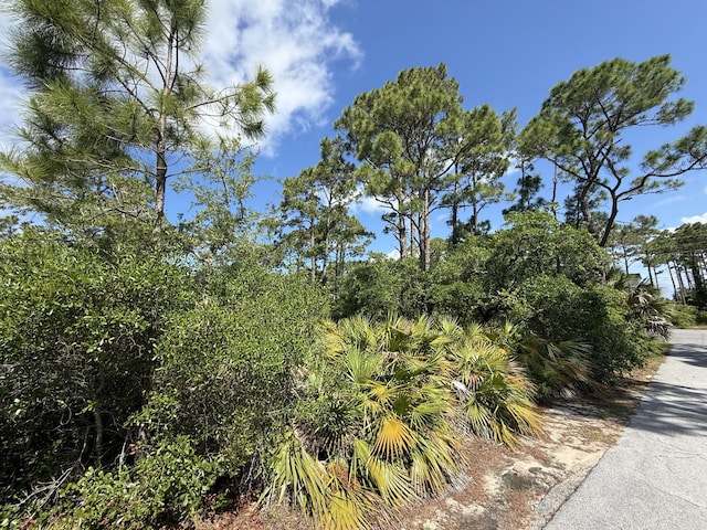 111 Pluto Way, Cape San Blas, FL 32456