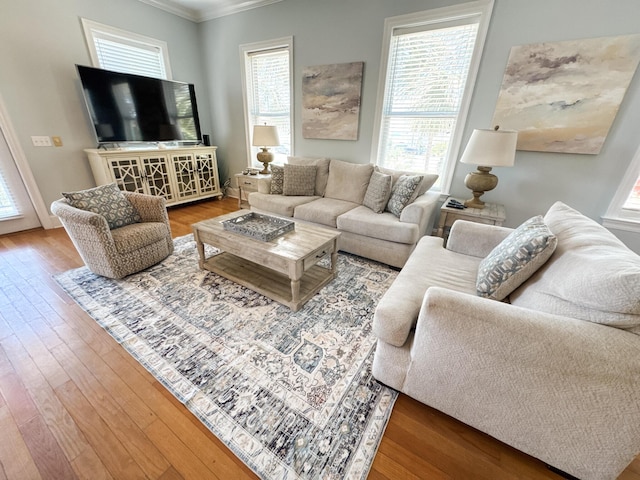 431 La Valencia Cir, Panama City Beach, FL 32413 - living room with ornamental molding and wood finished floors