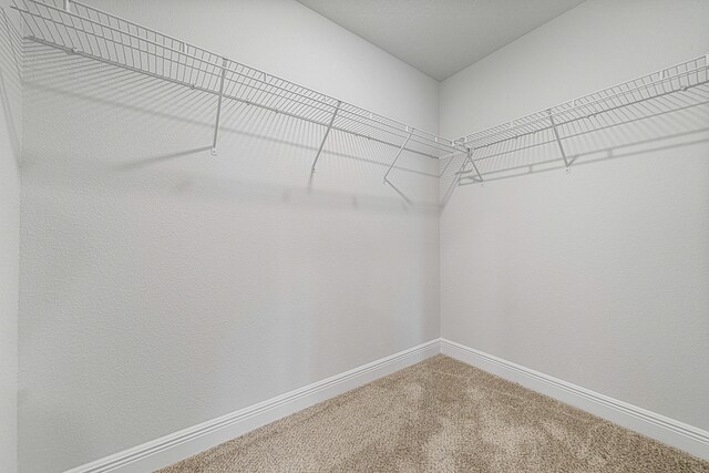 103 Ridgeway Cir, Crestview, FL 32536 - walk in closet featuring carpet