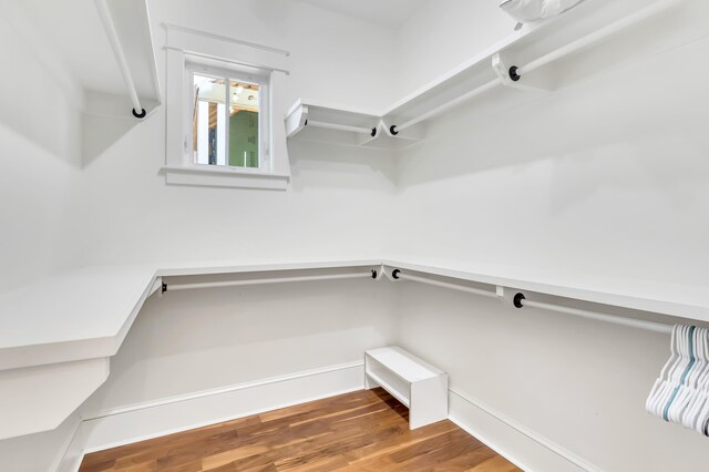 18 Eastern Lake Ct, Santa Rosa Beach, FL 32459 - spacious closet with wood finished floors