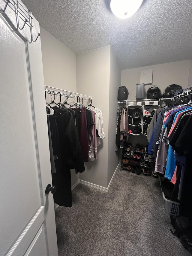 8945 Bluebell St, Milton, FL 32583 - walk in closet with carpet flooring