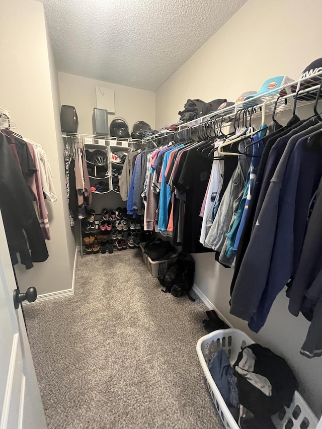 8945 Bluebell St, Milton, FL 32583 - walk in closet featuring carpet flooring