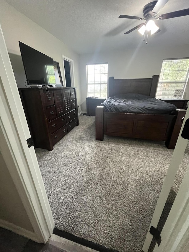 8945 Bluebell St, Milton, FL 32583 - bedroom featuring carpet, multiple windows, a textured ceiling, ceiling fan, and baseboards