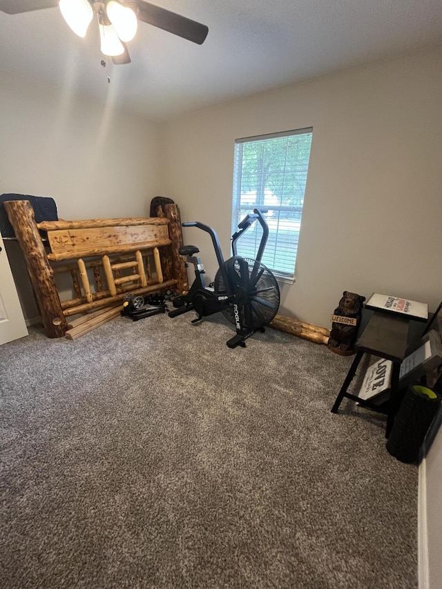 8945 Bluebell St, Milton, FL 32583 - exercise room featuring carpet and ceiling fan