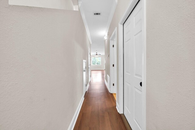 526 Valparaiso Pkwy Unit B, Valparaiso, FL 32580 - hall with a textured wall, dark wood finished floors, and ornamental molding