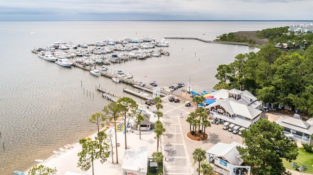 5000 S Sandestin Blvd Unit 7906, Miramar Beach, FL 32550 - bird's eye view of a nearby body of water and numerous boat docks