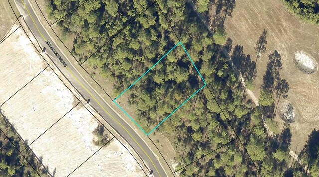 6409 Arcadia Bluffs Ave, Laurel Hill, FL 32567 - photo 37