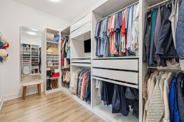 282 W Lafayette Rd, Inlet Beach, FL 32461 - walk in closet with wood finished floors