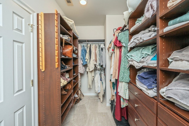 4467 Turnberry Pl, Niceville, FL 32578 - spacious closet with carpet