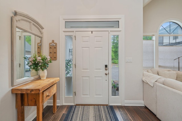 4467 Turnberry Pl, Niceville, FL 32578 - entryway featuring healthy amount of natural light, baseboards, and dark wood-style flooring