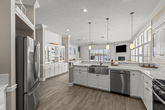 72 Tranquility Ln, Destin, FL 32541 - kitchen featuring stainless steel appliances, a sink, wood finished floors, open shelves, and a glass covered fireplace