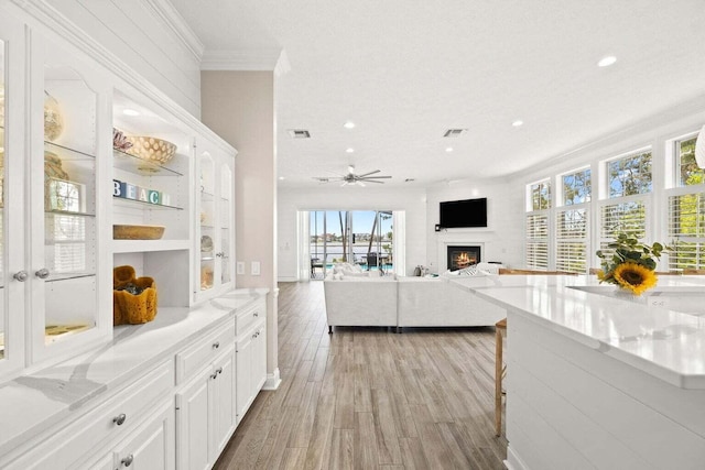 72 Tranquility Ln, Destin, FL 32541 - kitchen with a lit fireplace, crown molding, recessed lighting, white cabinets, and light wood-style flooring