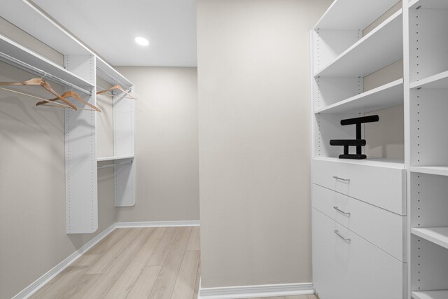 112 Meigs Dr, Shalimar, FL 32579 - spacious closet with light wood-style floors