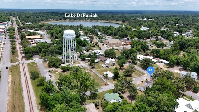 119 E Live Oak Ave, Defuniak Springs, FL 32435 - aerial view of a heavily wooded area and a nearby body of water