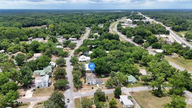 119 E Live Oak Ave, Defuniak Springs, FL 32435 - aerial view of a forest