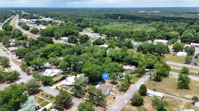 119 E Live Oak Ave, Defuniak Springs, FL 32435 - aerial view of a forest