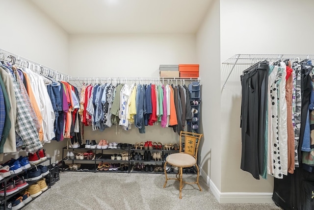 170 Windchime Way, Freeport, FL 32439 - walk in closet featuring carpet floors