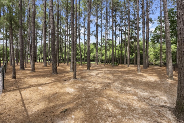 170 Windchime Way, Freeport, FL 32439 - view of yard