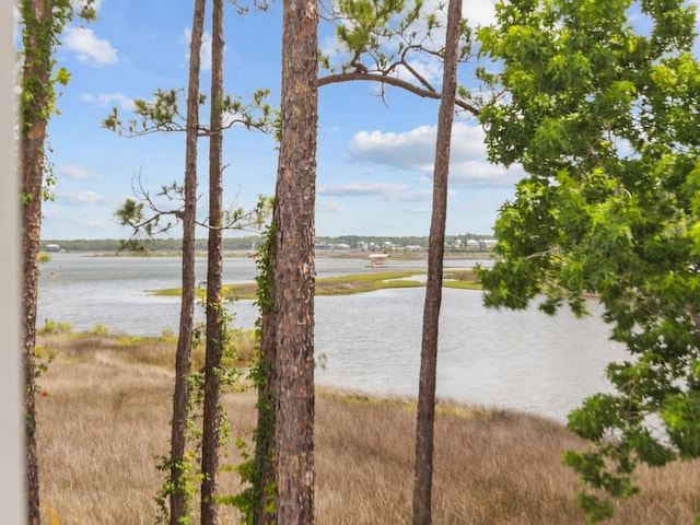 255 Churchill Oaks Dr, Santa Rosa Beach, FL 32459 - photo 20