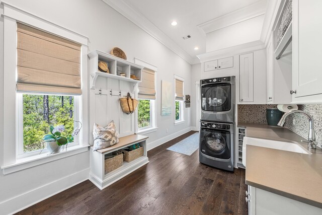 667 E Royal Fern Way, Santa Rosa Beach, FL 32459 - kitchen featuring stacked washer / dryer, ornamental molding, a sink, plenty of natural light, and baseboards